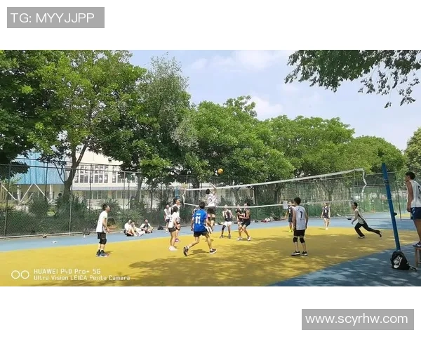 成都排球队在杯赛中的技术表现分析与点评 成都排球队在杯赛中的技术表现分析与点评