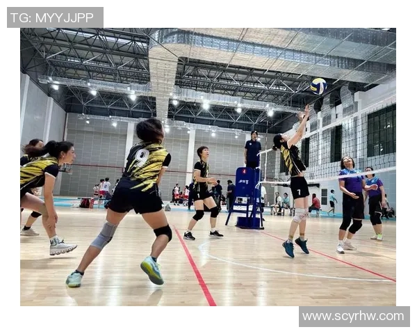 成都排球队荣登全国排球比赛经验排行榜第一名引发热议